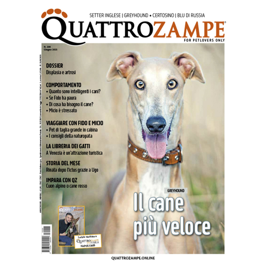 Immagine di QUATTROZAMPE - 2025/06 ARRETRATO Italia