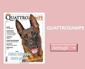 Immagine per la categoria QUATTROZAMPE