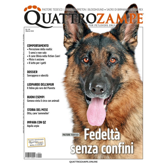 Immagine di QUATTROZAMPE - 3 ANNI ABBONAMENTO Italia